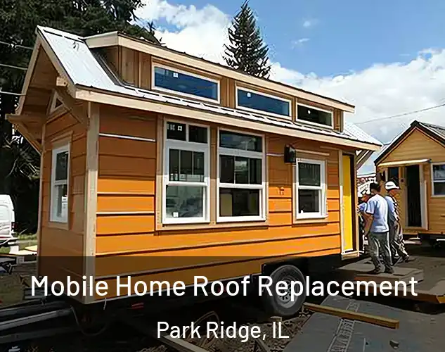  Mobile Home Roof Replacement Park Ridge, IL