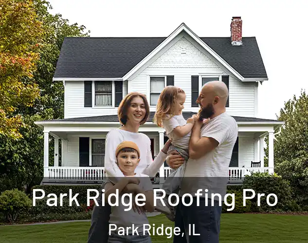  Park Ridge Roofing Pro Park Ridge, IL