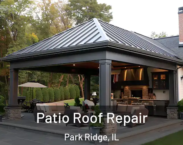  Patio Roof Repair Park Ridge, IL