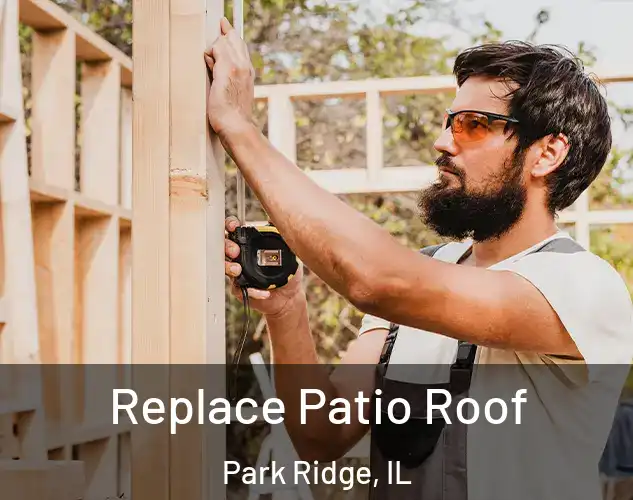  Replace Patio Roof Park Ridge, IL