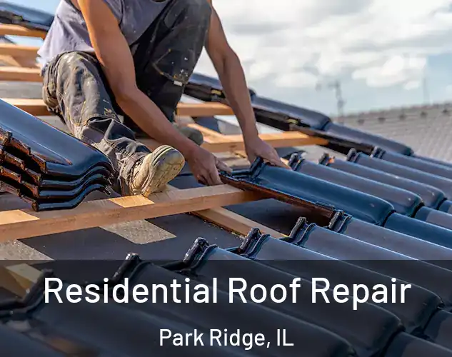  Residential Roof Repair Park Ridge, IL