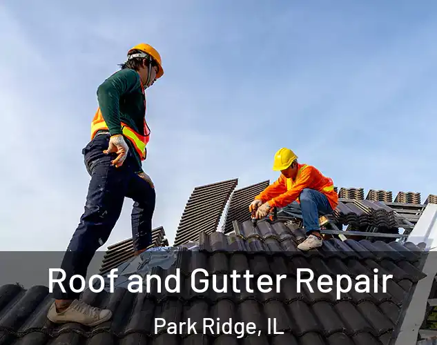  Roof and Gutter Repair Park Ridge, IL