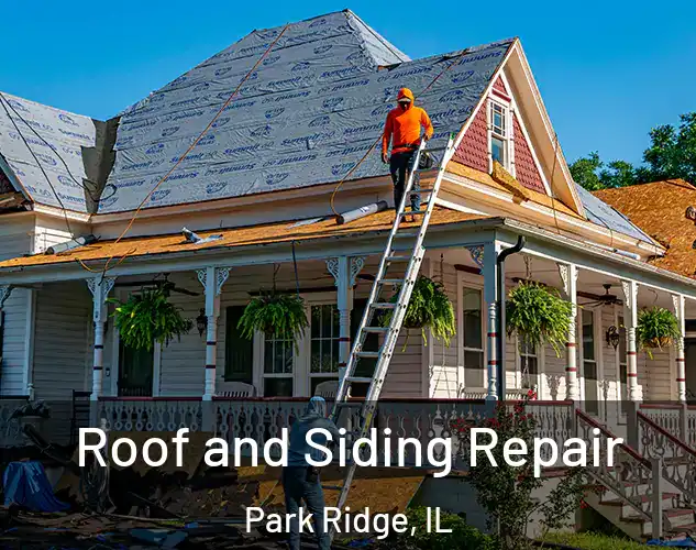  Roof and Siding Repair Park Ridge, IL