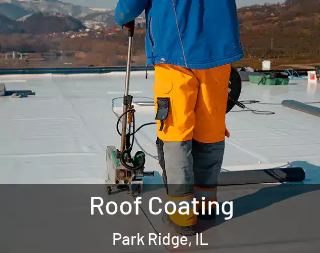  Roof Coating Park Ridge, IL