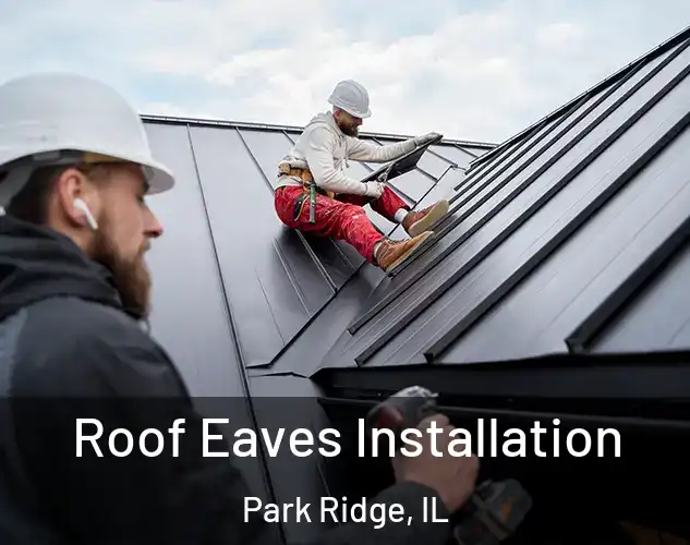  Roof Eaves Installation Park Ridge, IL