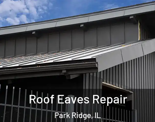  Roof Eaves Repair Park Ridge, IL