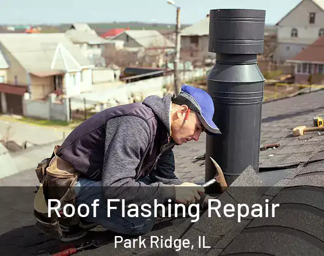  Roof Flashing Repair Park Ridge, IL