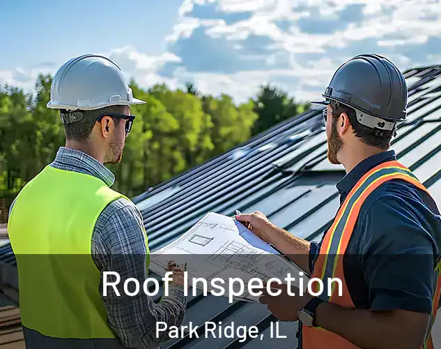  Roof Inspection Park Ridge, IL