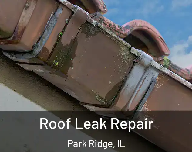  Roof Leak Repair Park Ridge, IL