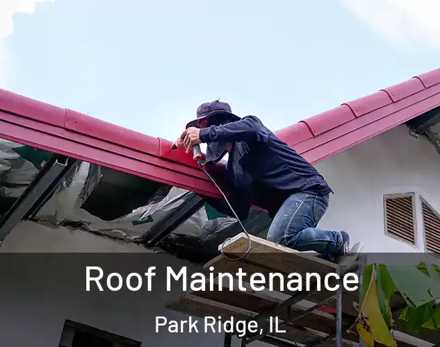  Roof Maintenance Park Ridge, IL