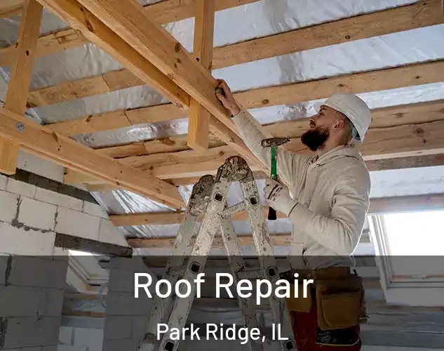  Roof Repair Park Ridge, IL