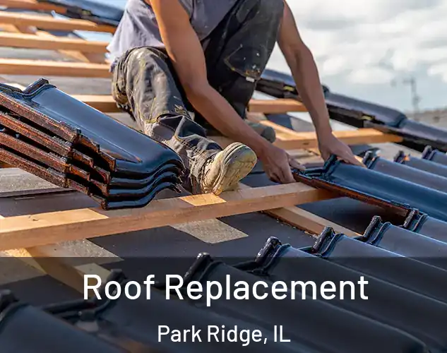  Roof Replacement Park Ridge, IL