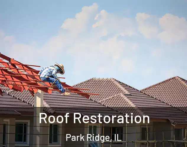  Roof Restoration Park Ridge, IL