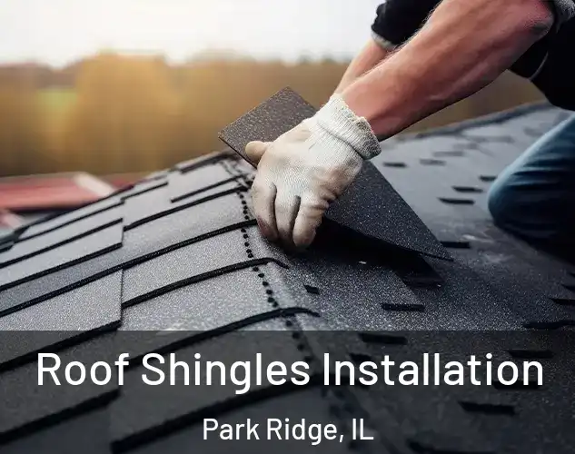  Roof Shingles Installation Park Ridge, IL