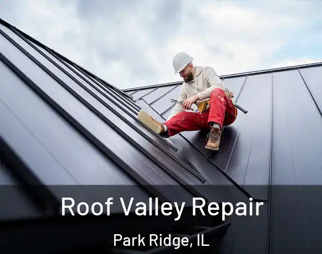  Roof Valley Repair Park Ridge, IL