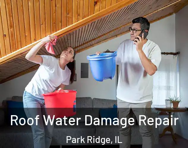  Roof Water Damage Repair Park Ridge, IL