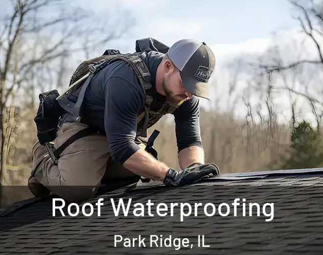  Roof Waterproofing Park Ridge, IL