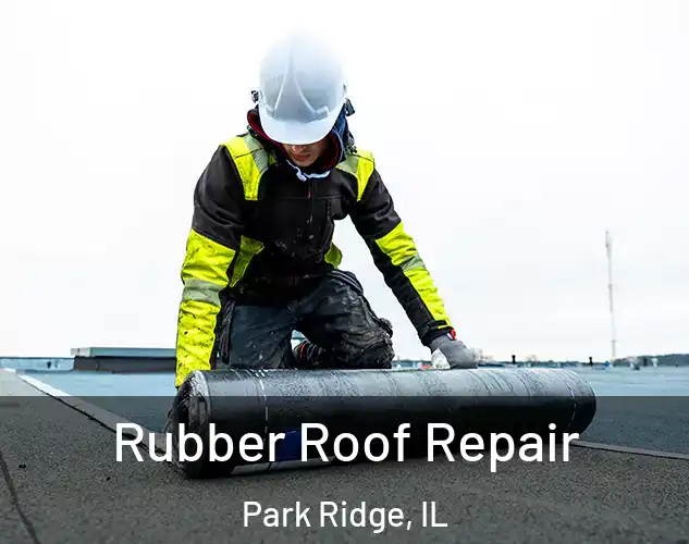  Rubber Roof Repair Park Ridge, IL