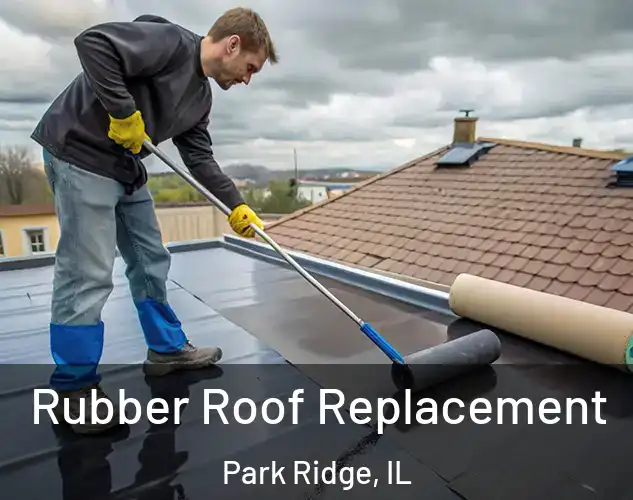  Rubber Roof Replacement Park Ridge, IL