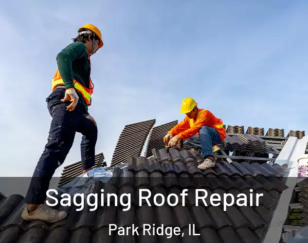  Sagging Roof Repair Park Ridge, IL
