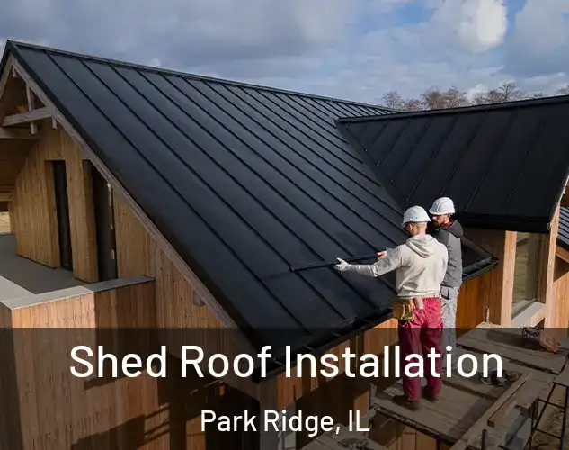  Shed Roof Installation Park Ridge, IL