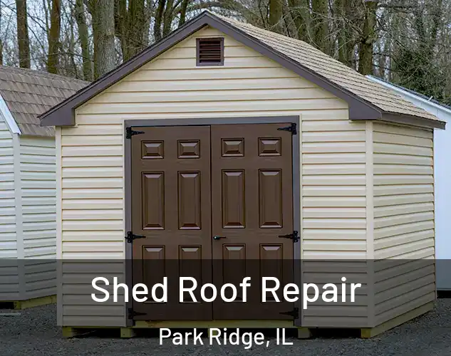  Shed Roof Repair Park Ridge, IL