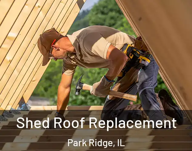  Shed Roof Replacement Park Ridge, IL