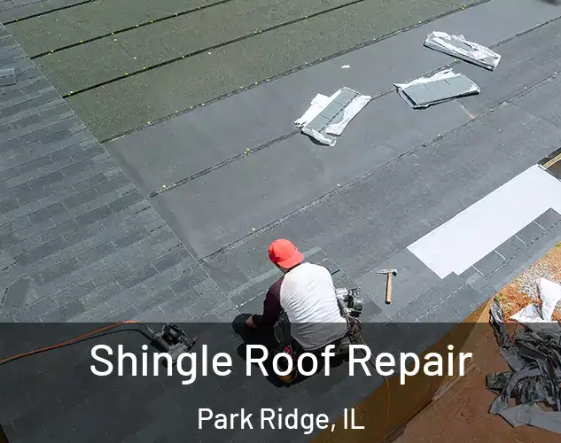  Shingle Roof Repair Park Ridge, IL