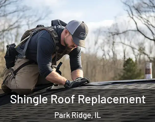  Shingle Roof Replacement Park Ridge, IL