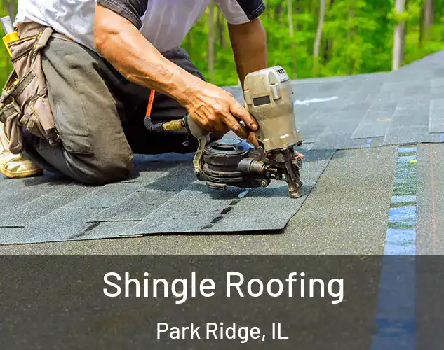  Shingle Roofing Park Ridge, IL