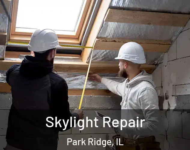  Skylight Repair Park Ridge, IL