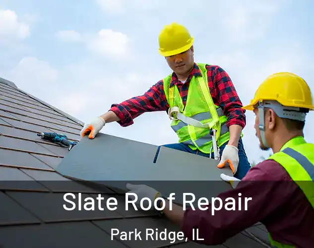  Slate Roof Repair Park Ridge, IL