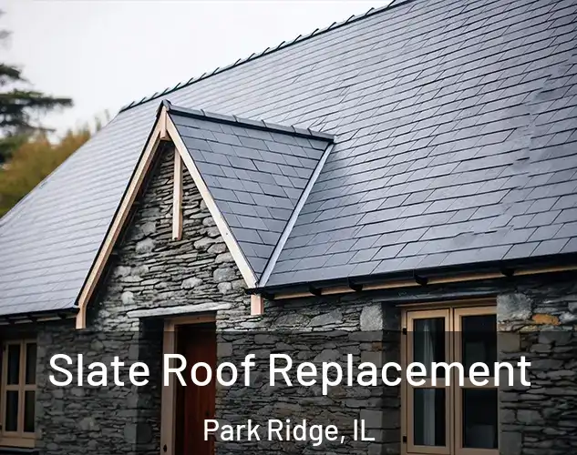  Slate Roof Replacement Park Ridge, IL