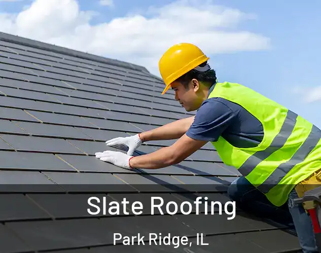  Slate Roofing Park Ridge, IL
