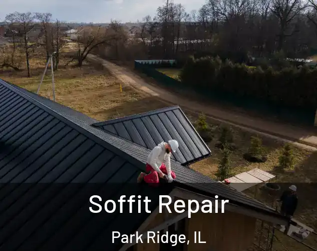  Soffit Repair Park Ridge, IL