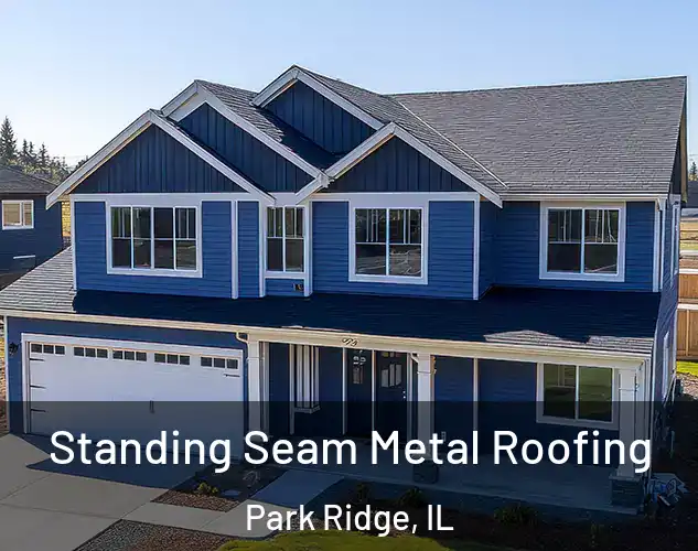  Standing Seam Metal Roofing Park Ridge, IL