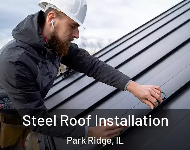  Steel Roof Installation Park Ridge, IL