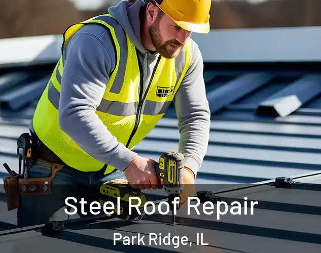  Steel Roof Repair Park Ridge, IL