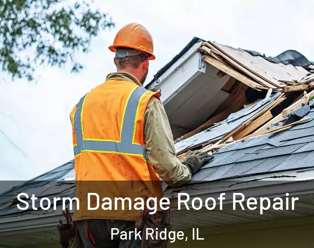  Storm Damage Roof Repair Park Ridge, IL