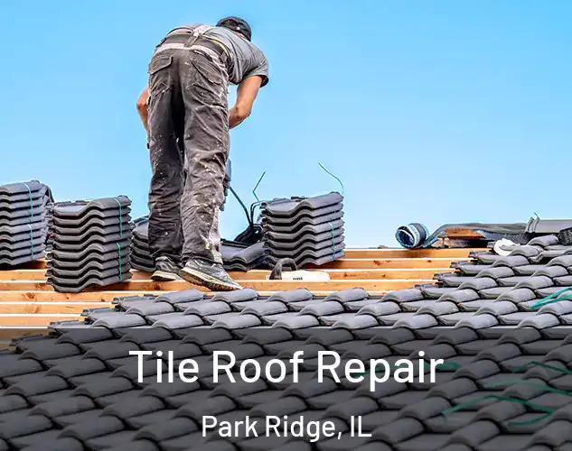 Tile Roof Repair Park Ridge, IL