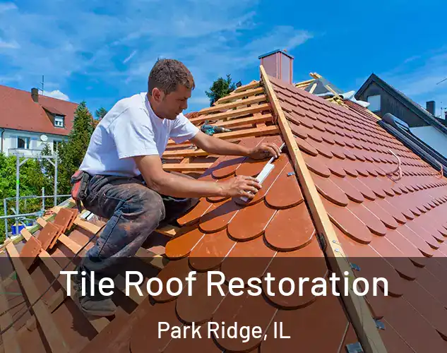  Tile Roof Restoration Park Ridge, IL