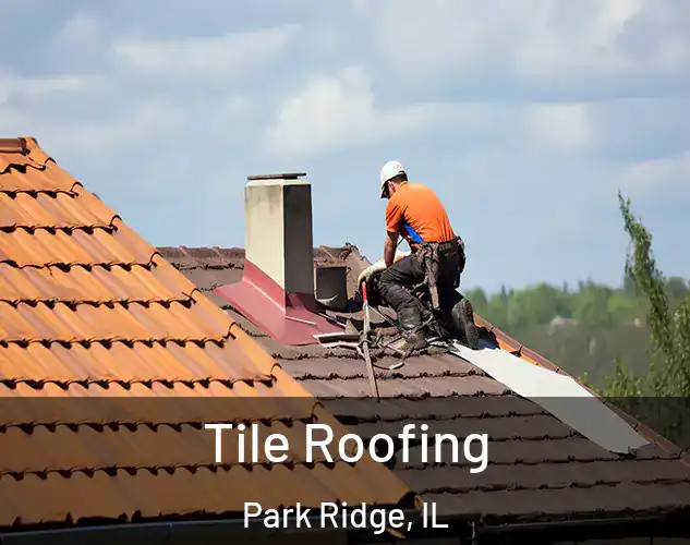  Tile Roofing Park Ridge, IL