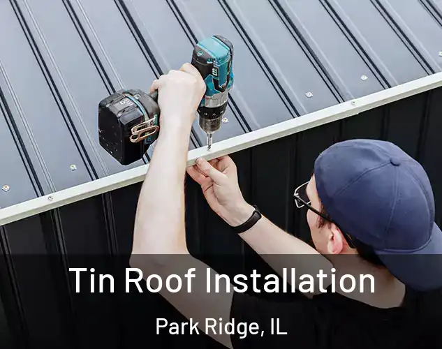  Tin Roof Installation Park Ridge, IL