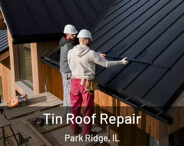  Tin Roof Repair Park Ridge, IL