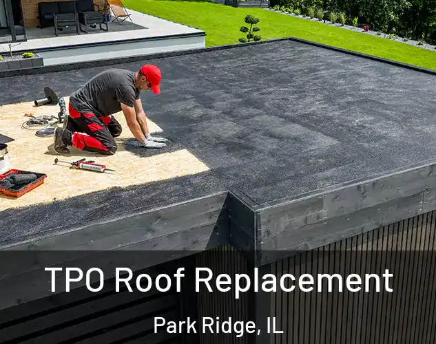  TPO Roof Replacement Park Ridge, IL