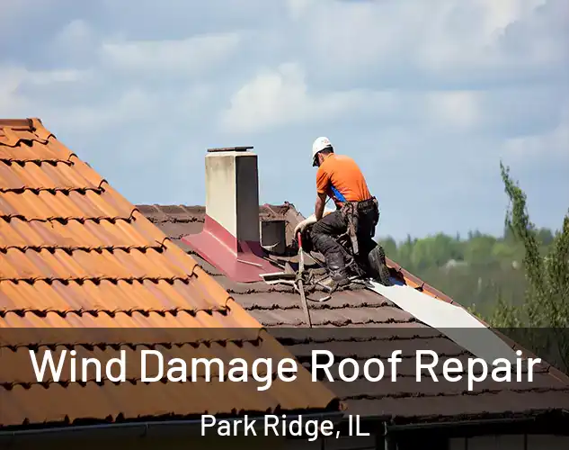  Wind Damage Roof Repair Park Ridge, IL
